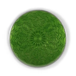 WG Ball Transparent Enamel Powder – Budgerigar Green 430